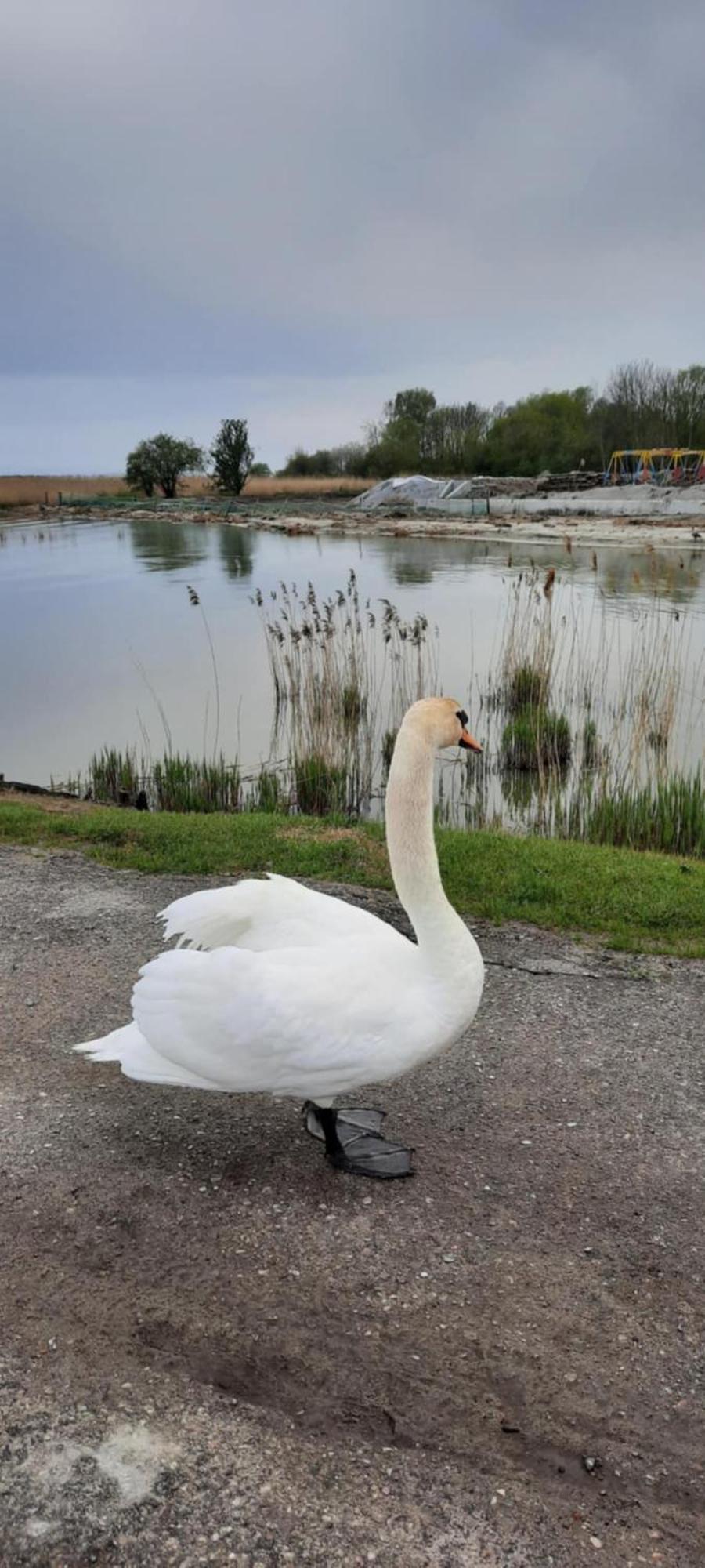 Pokoje Goscinne Nord クリニツァ・モルスカ エクステリア 写真